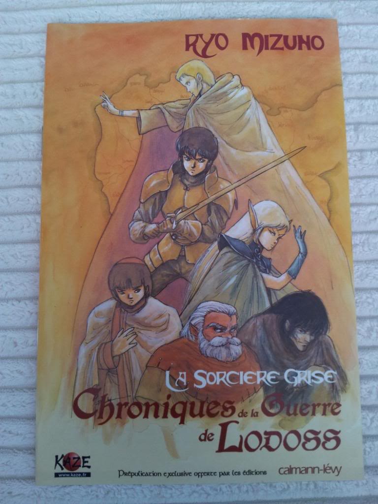 Nouvelles Chroniques de la Guerre de Lodoss Tome 2 Francia Edition Limitee (42).jpg