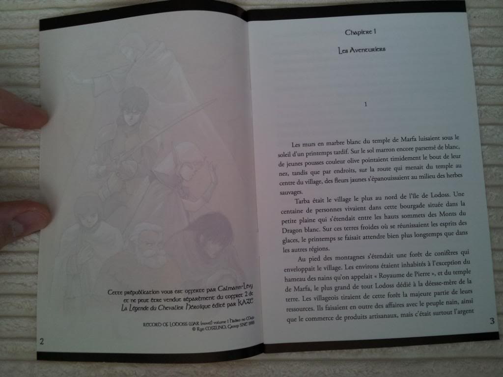 Nouvelles Chroniques de la Guerre de Lodoss Tome 2 Francia Edition Limitee (43).jpg